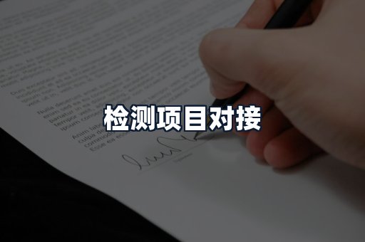 检测项目对接
